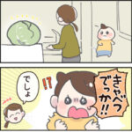 でっかいキャベツを買ったら