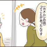 迷い込んだカメムシを救出せよ！【番外編】