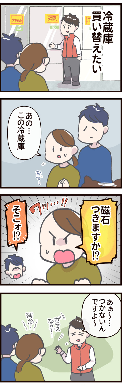冷蔵庫を購入する話 磁石がくっつくか店員さんに確認する