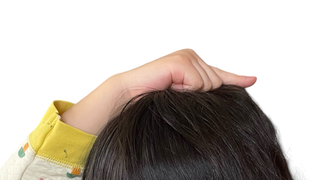 Photoroom_20250202_113552