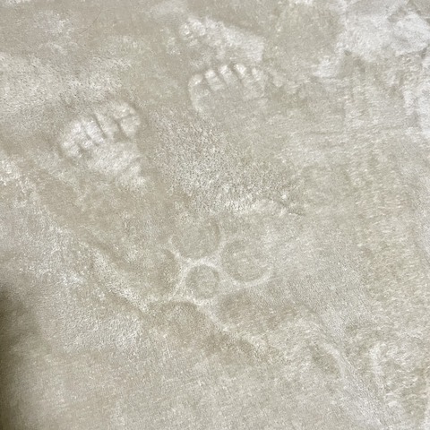 91DA20D4-B5D2-4A6A-BC33-36DD3CFC5A3B