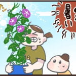 あさがおを育てる小学一年生【後編】